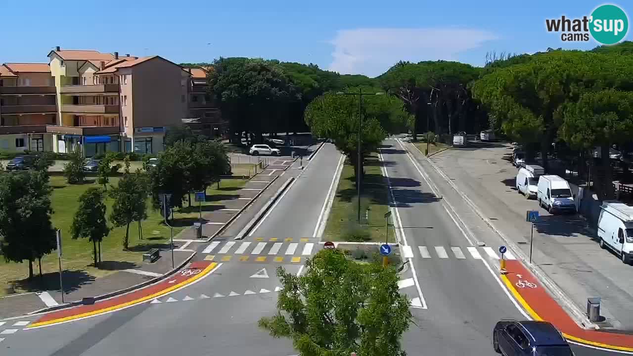 Livecam Rosolina mare