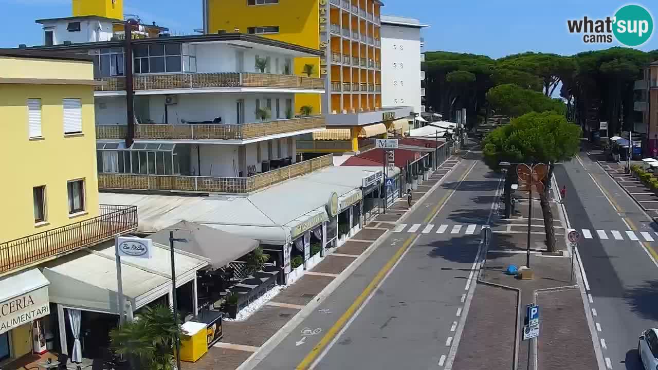 Camera en vivo Rosolina mare
