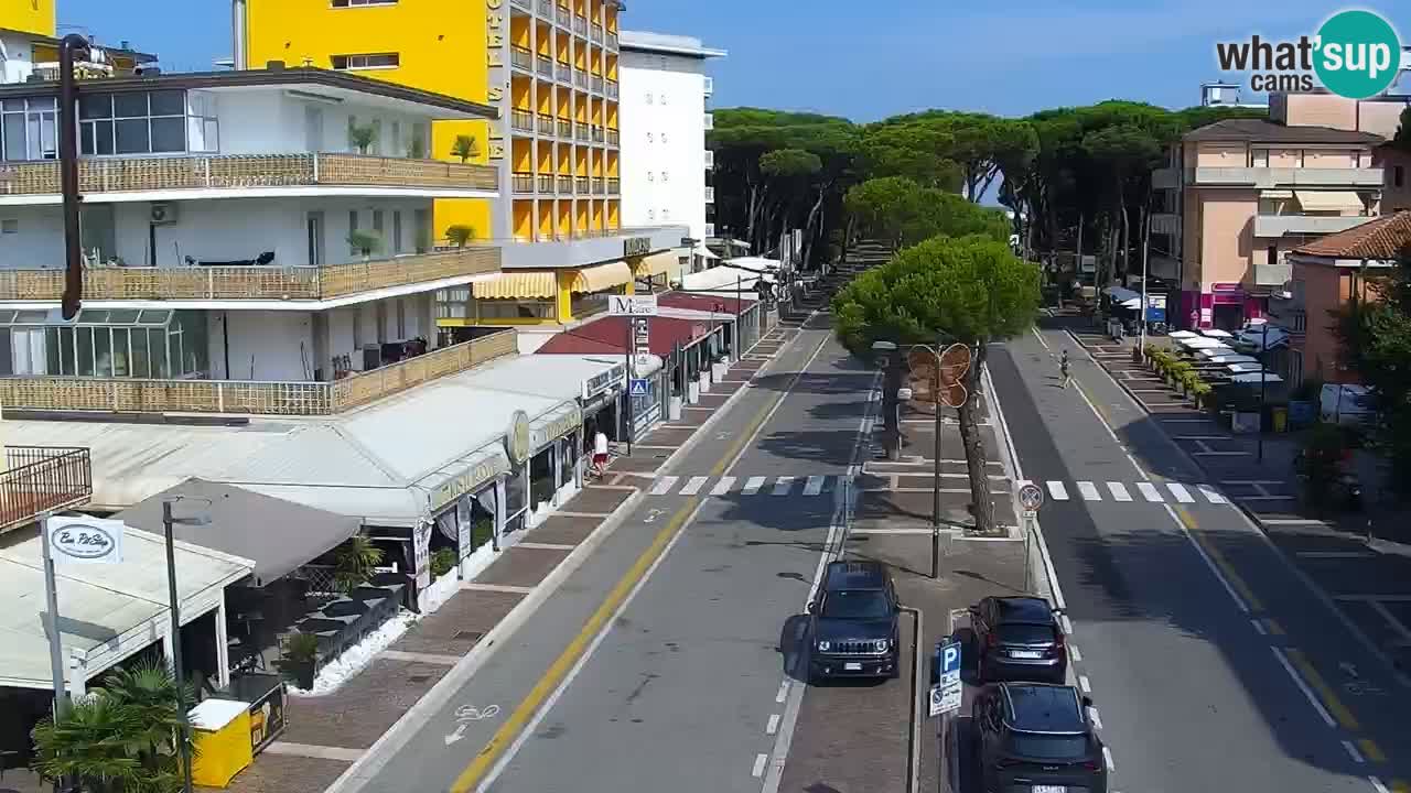 Camera en vivo Rosolina mare
