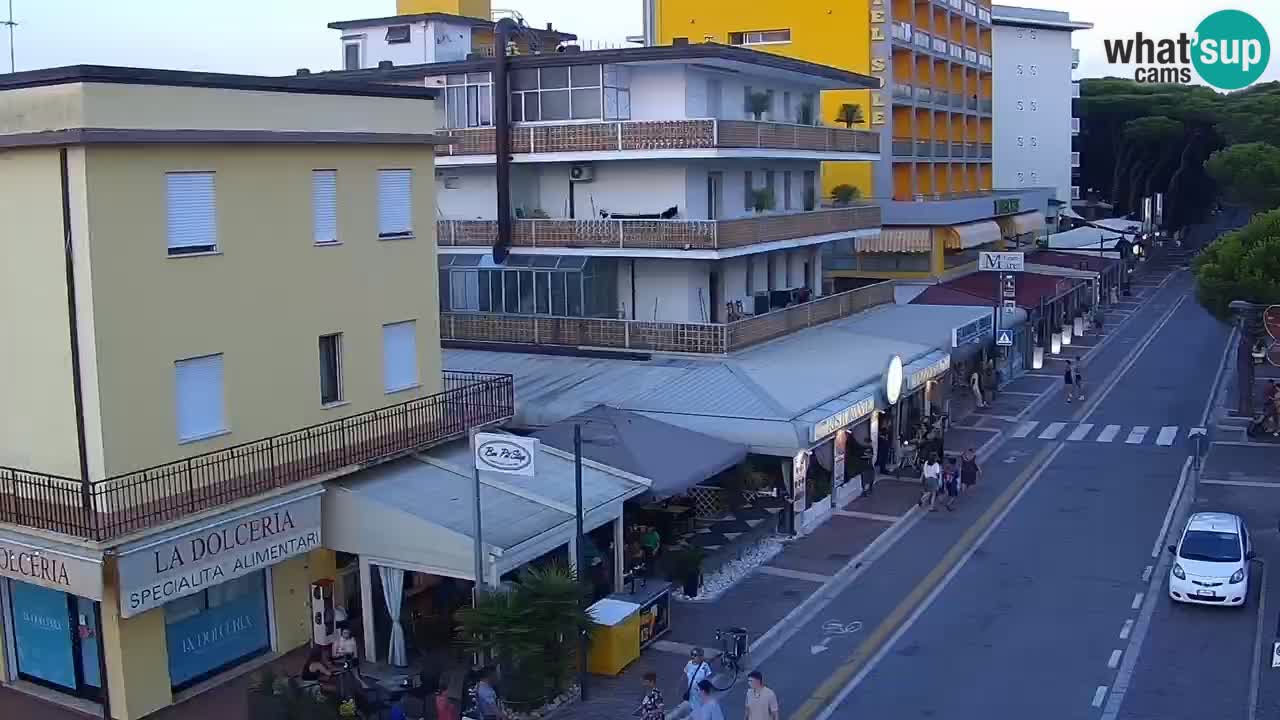 Livecam Rosolina mare