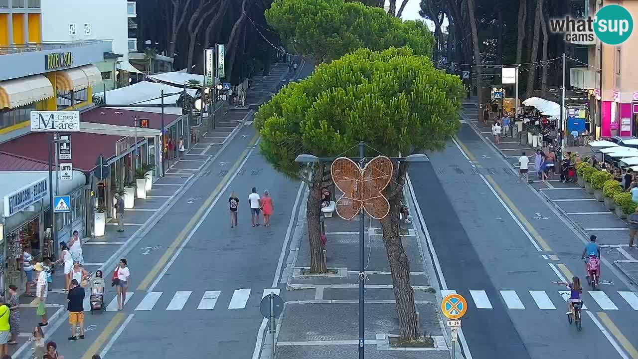 Camera en vivo Rosolina mare
