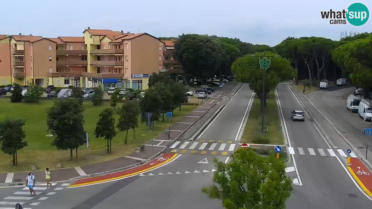 Livecam Rosolina mare