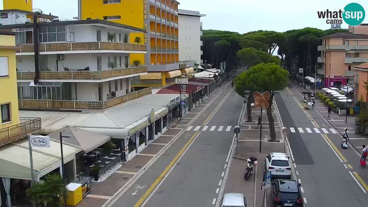 Livecam Rosolina mare