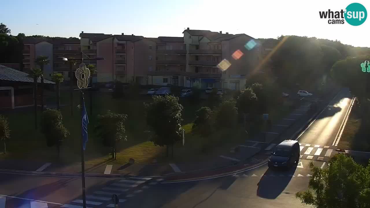Livecam Rosolina mare