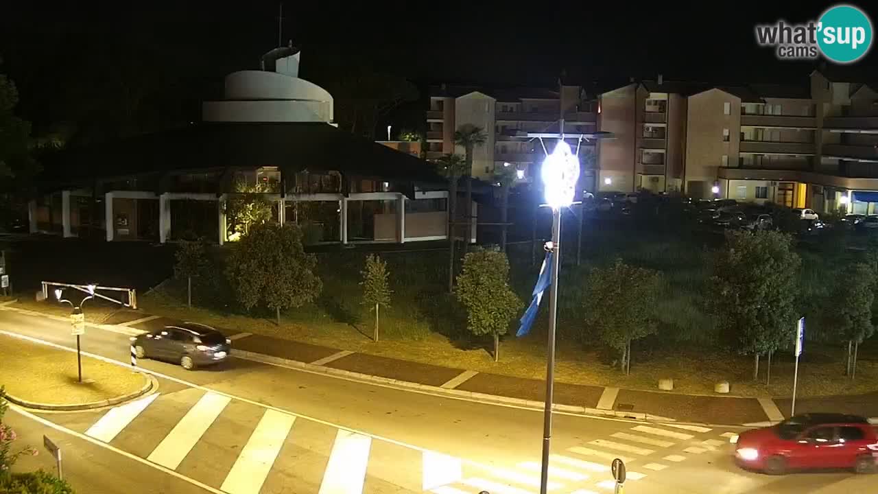 Livecam Rosolina mare