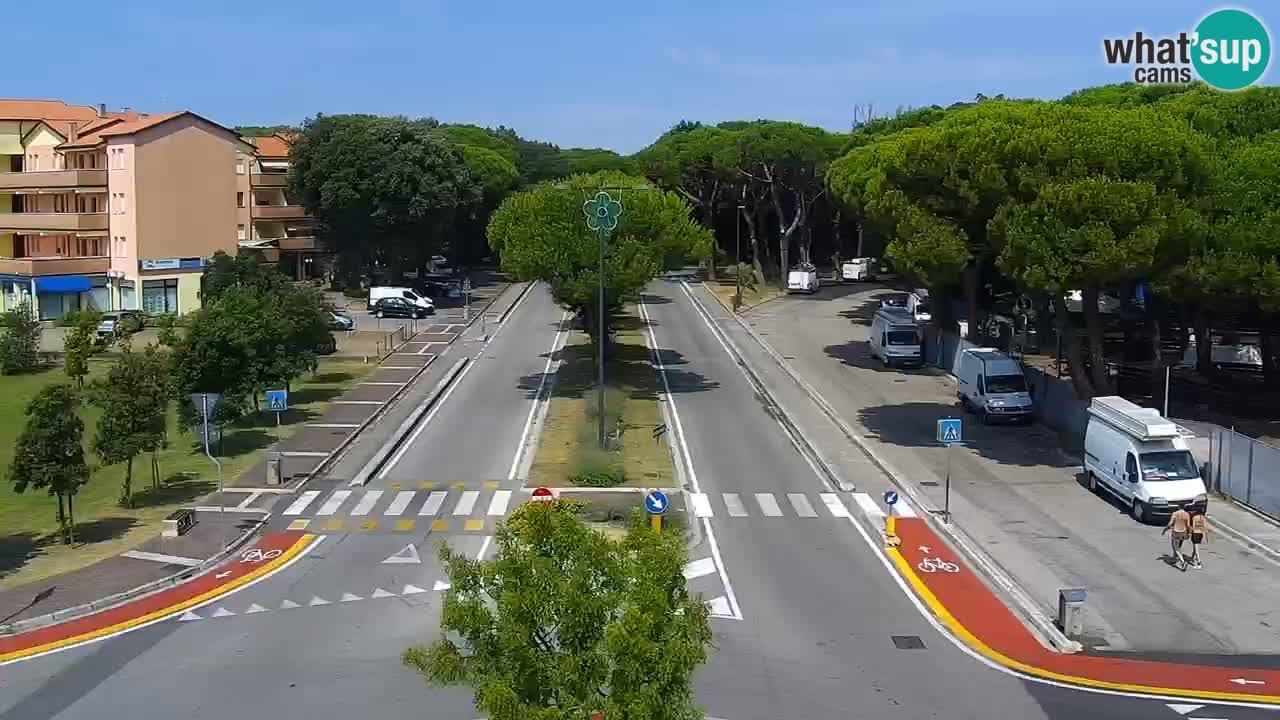 Livecam Rosolina mare