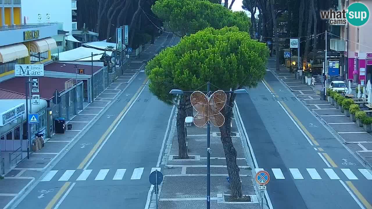 Livecam Rosolina mare webcam – Centro citta