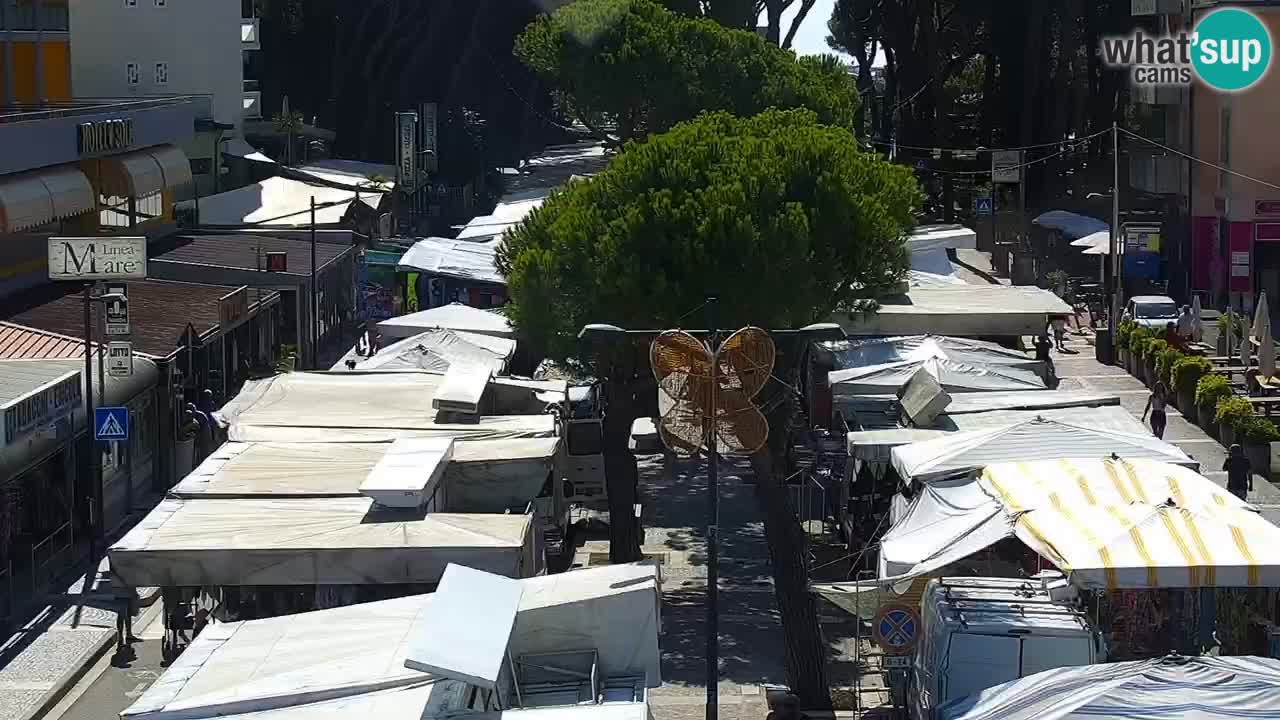 Camera en vivo Rosolina mare