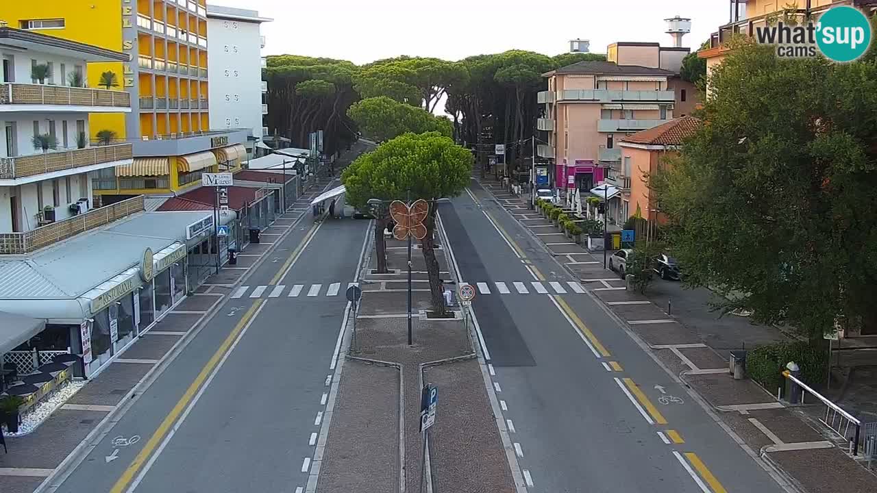 Livecam Rosolina mare