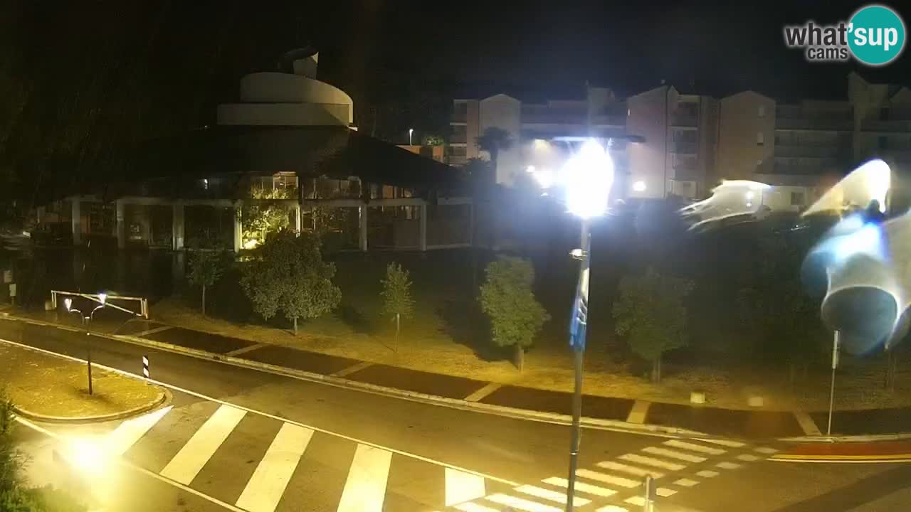 Livecam Rosolina mare