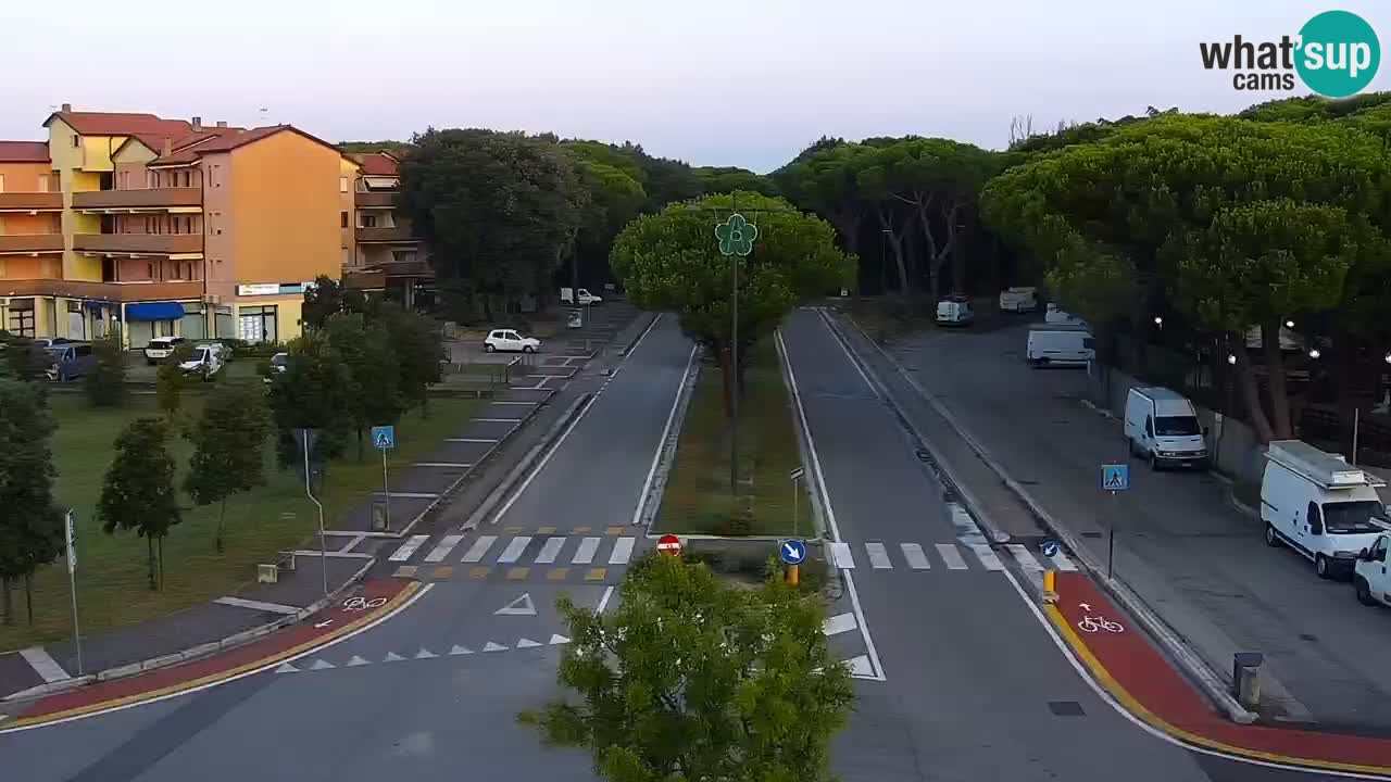 Camera en vivo Rosolina mare