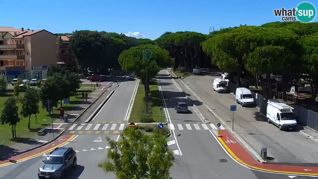 Livecam Rosolina mare