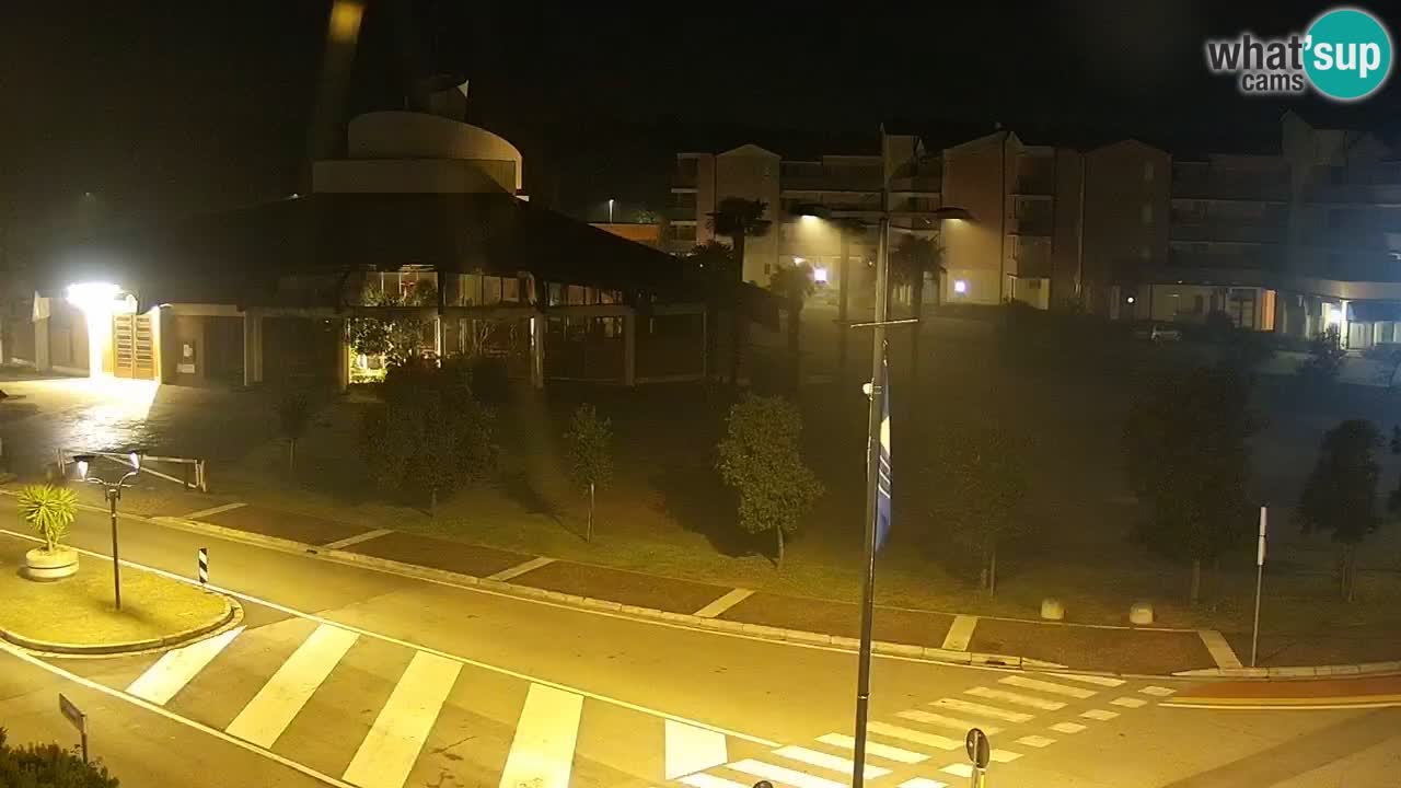 Livecam Rosolina mare