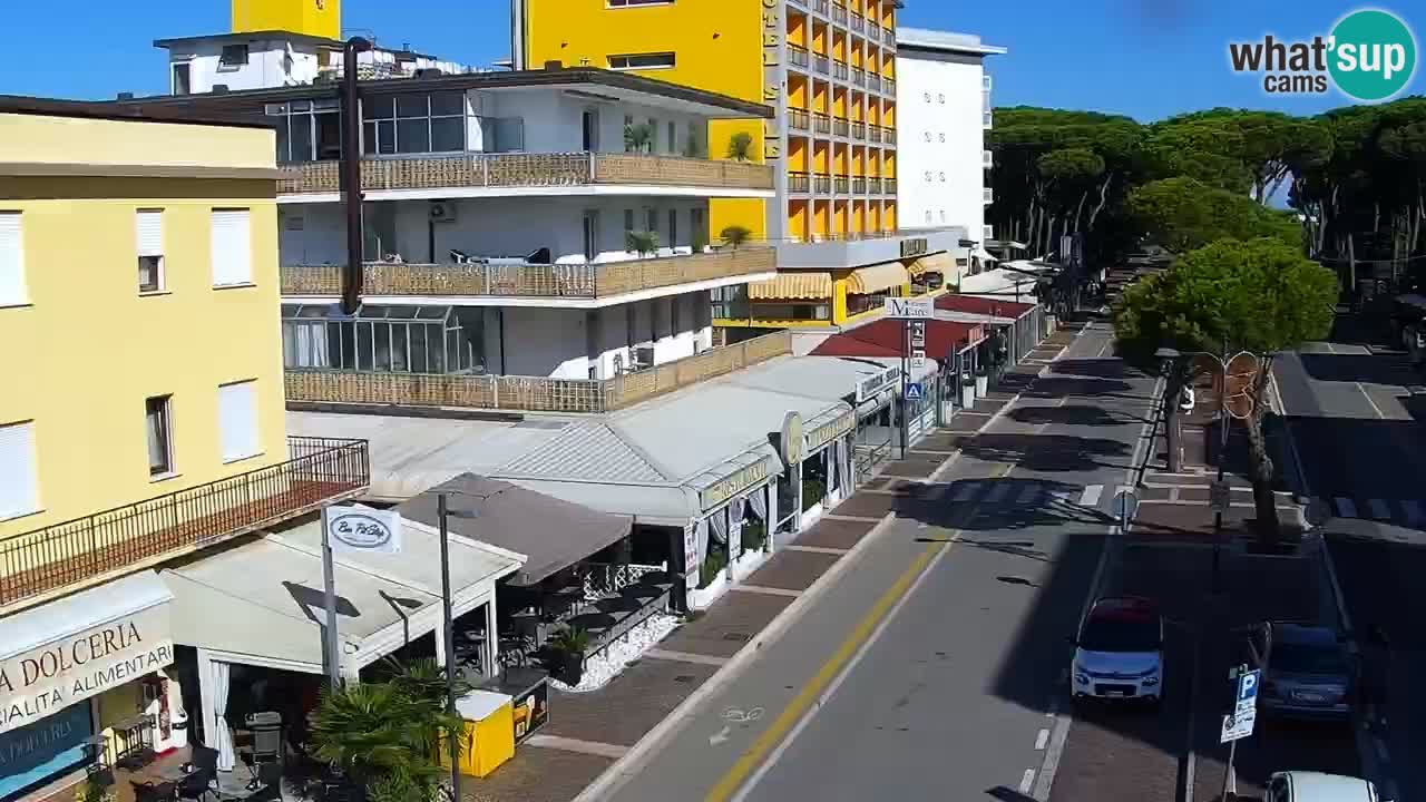 Livecam Rosolina mare
