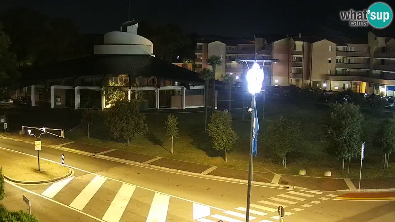 Livecam Rosolina mare