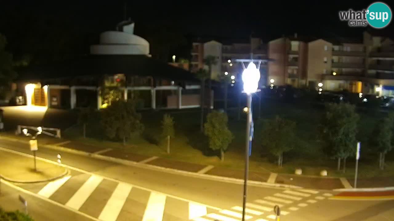 Livecam Rosolina mare