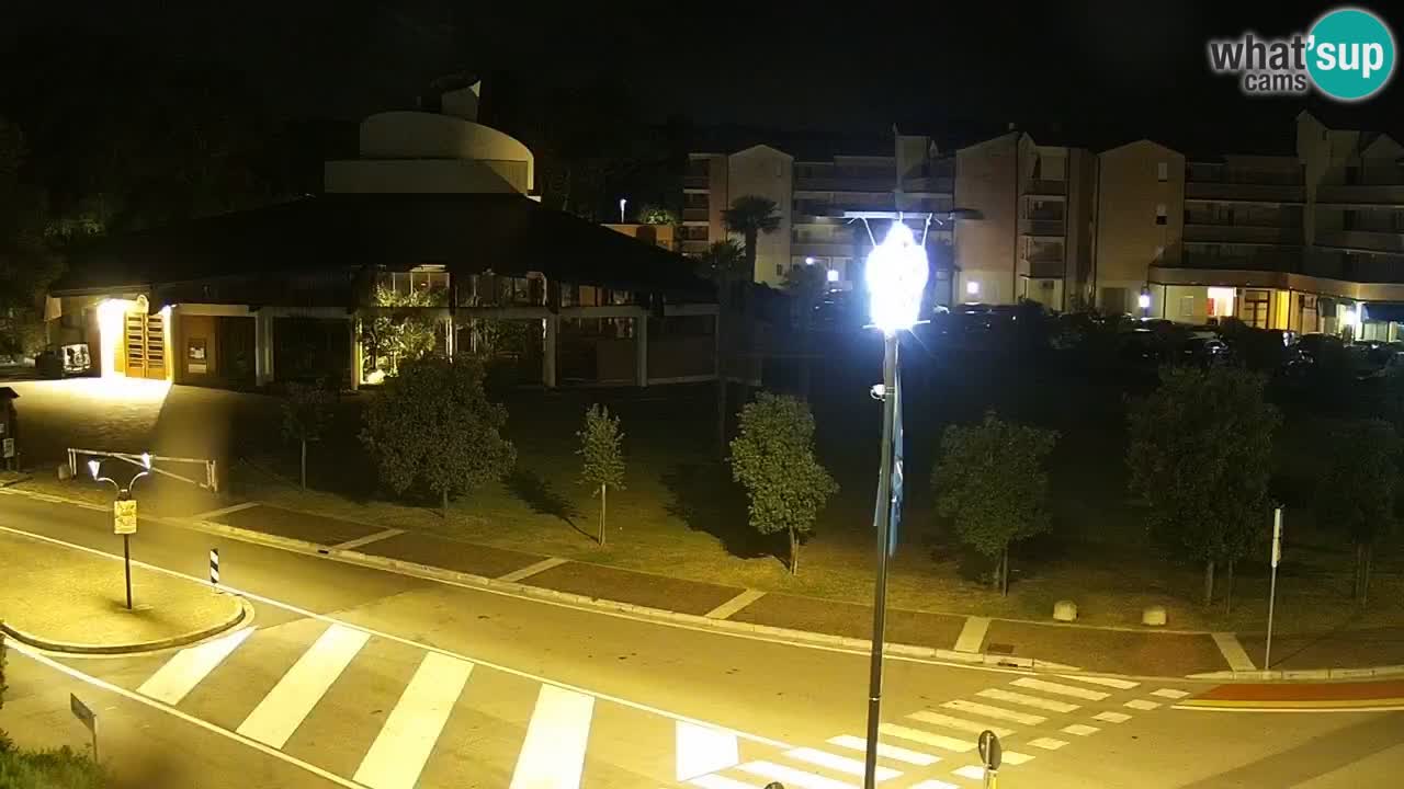 Livecam Rosolina mare
