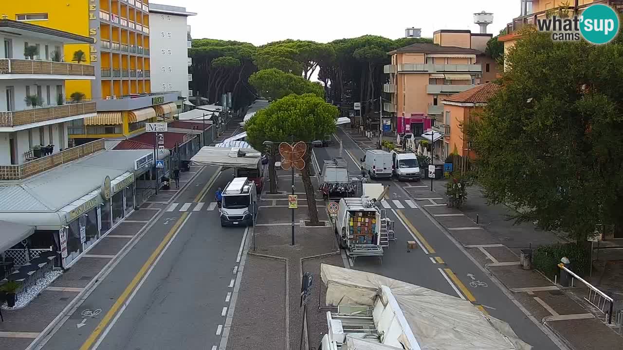 Camera en vivo Rosolina mare
