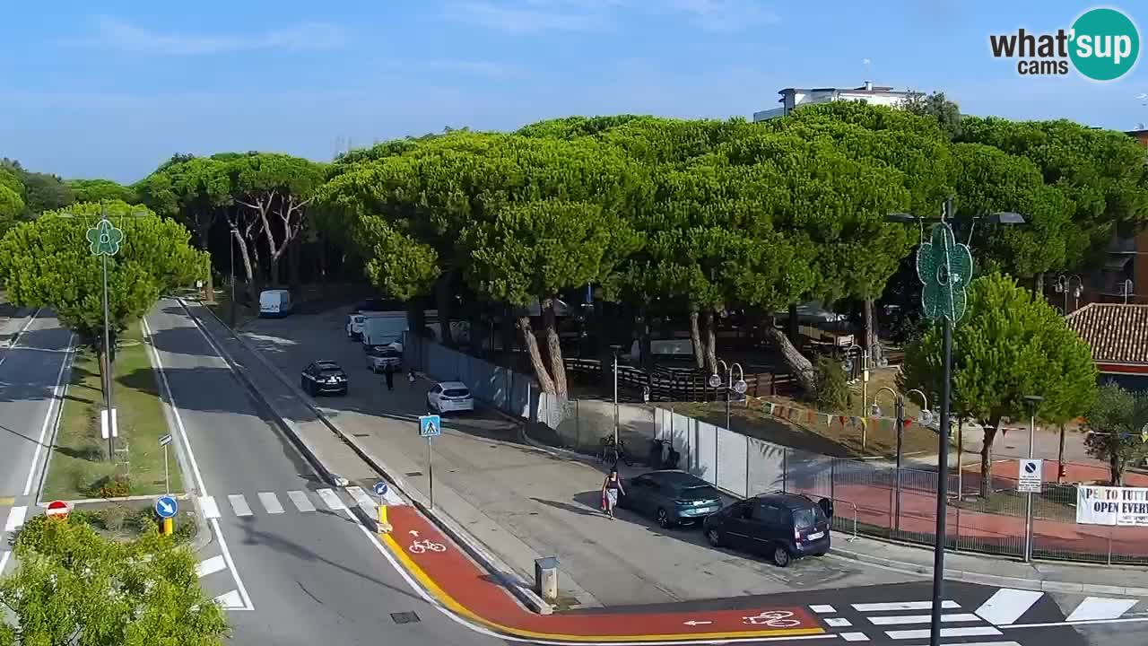 Livecam Rosolina mare