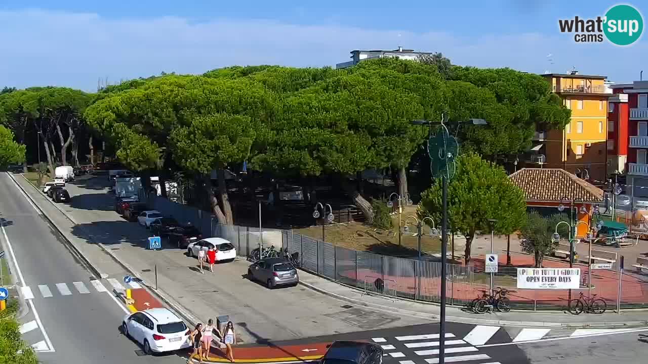 Livecam Rosolina mare