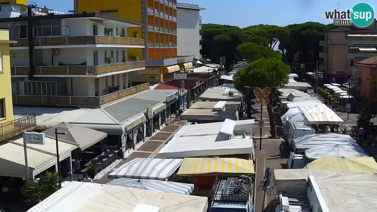 Livecam Rosolina mare