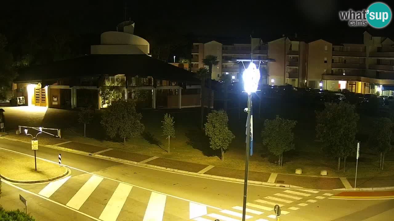 Camera en vivo Rosolina mare