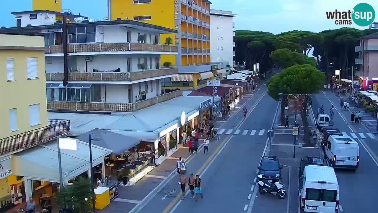 Camera en vivo Rosolina mare