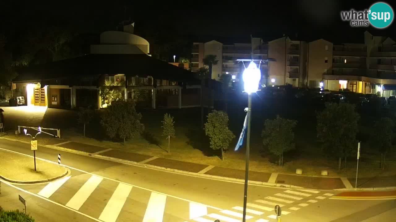 Camera en vivo Rosolina mare
