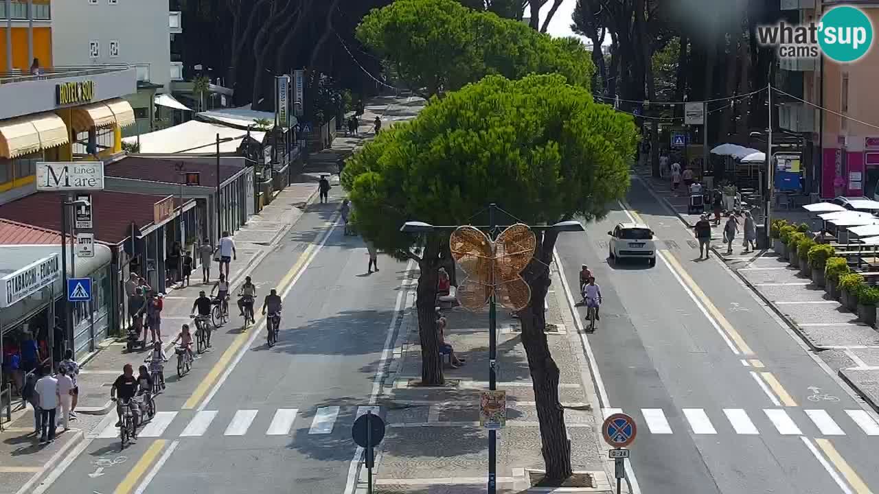 Livecam Rosolina mare