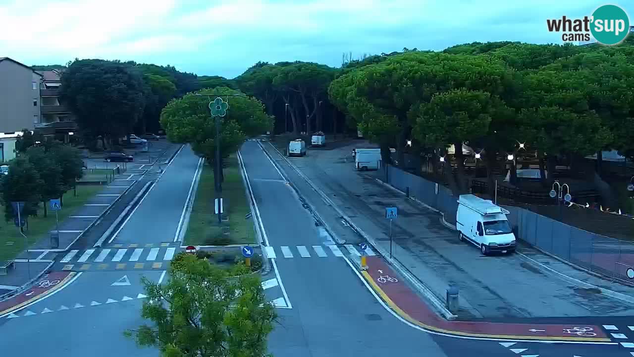 Livecam Rosolina mare