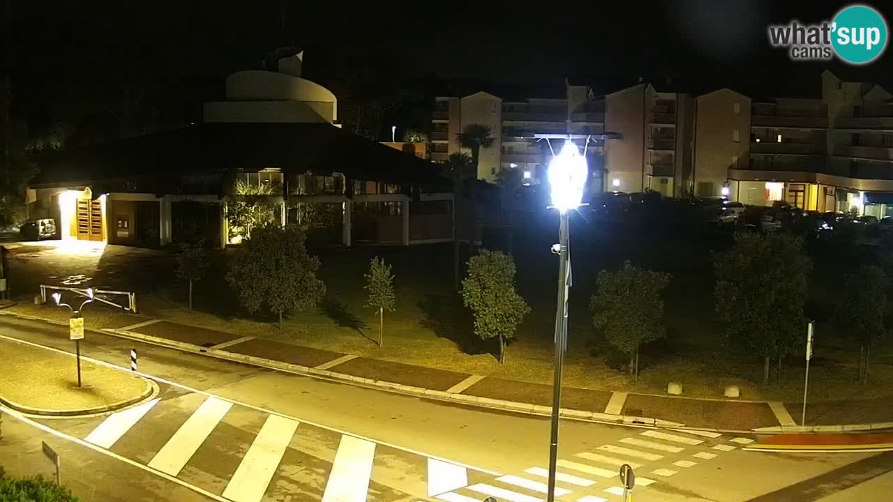 Livecam Rosolina mare