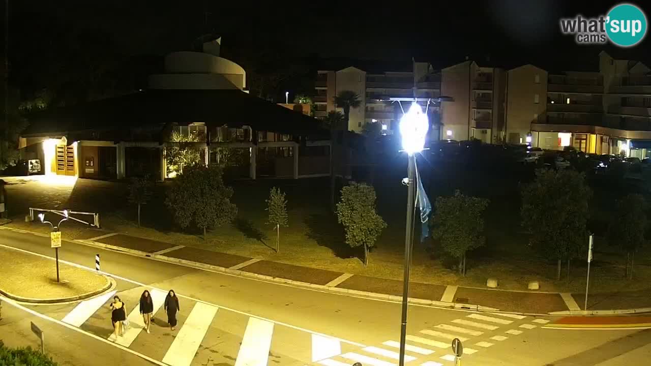 Camera en vivo Rosolina mare