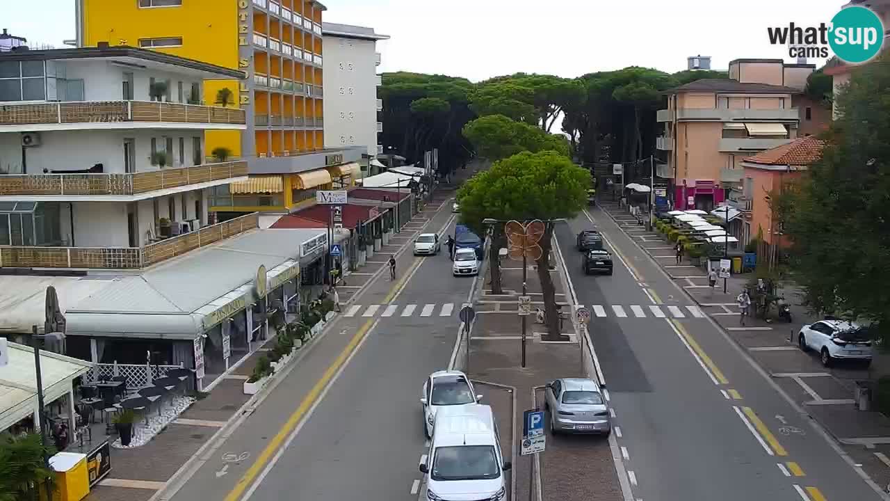 Camera en vivo Rosolina mare
