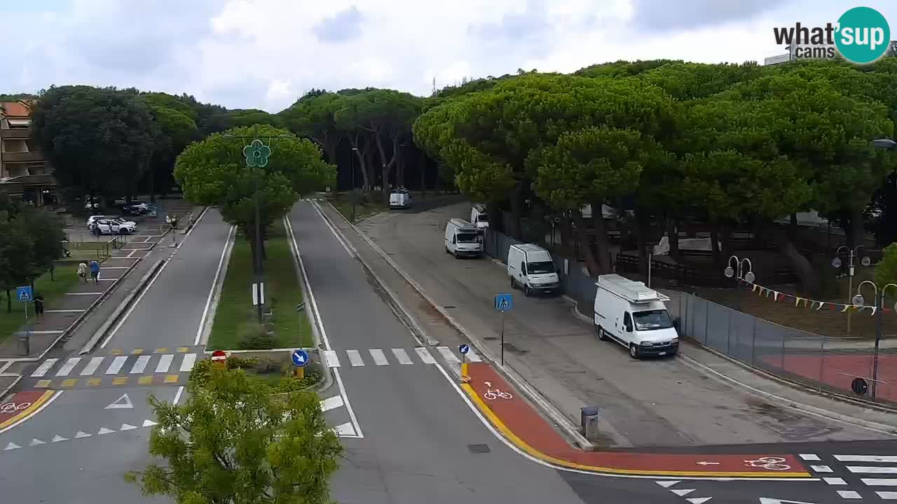Livecam Rosolina mare