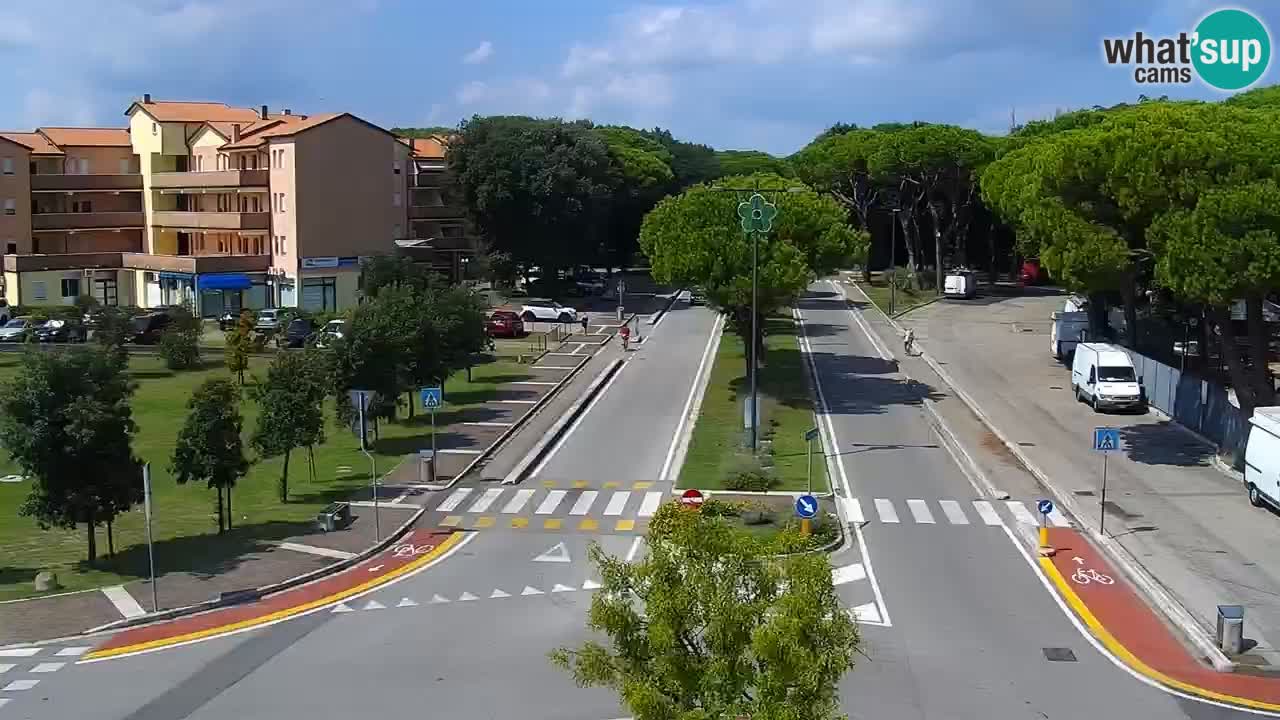 Camera en vivo Rosolina mare