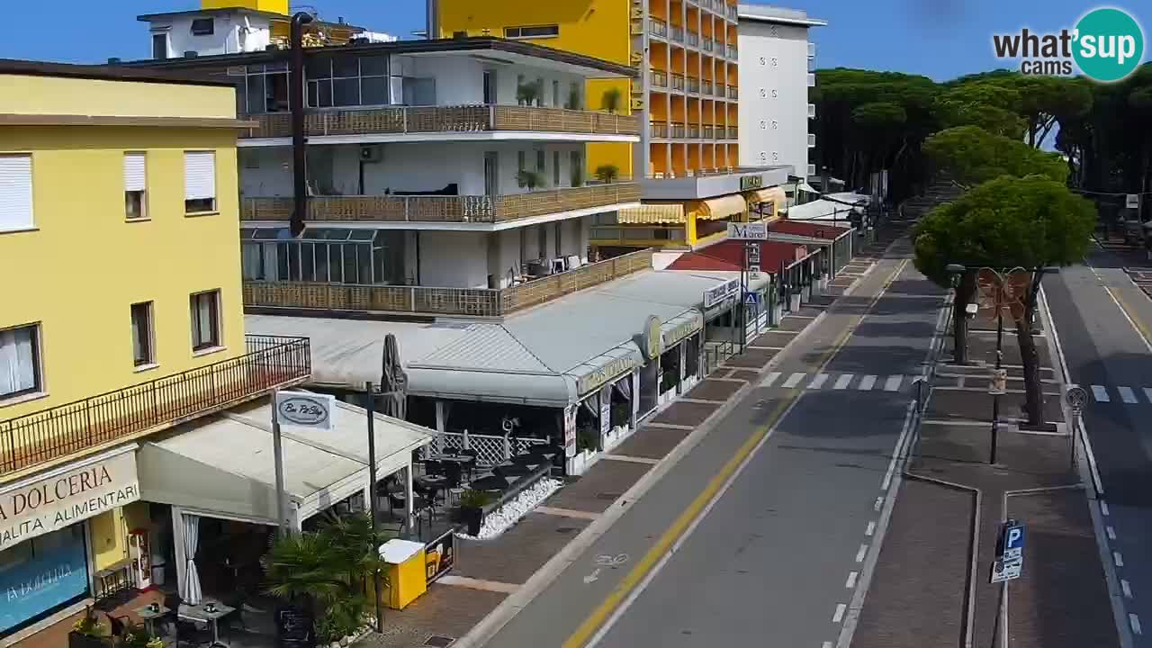 Livecam Rosolina mare