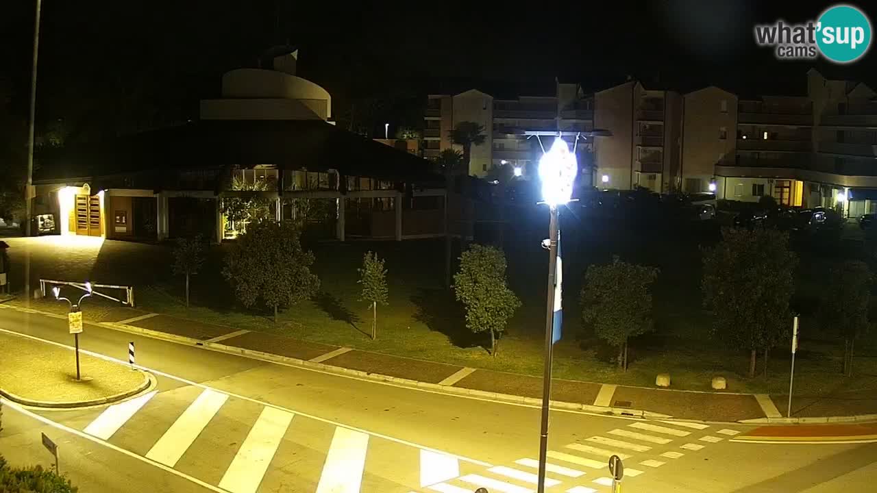 Camera en vivo Rosolina mare