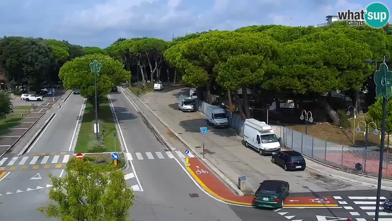 Camera en vivo Rosolina mare
