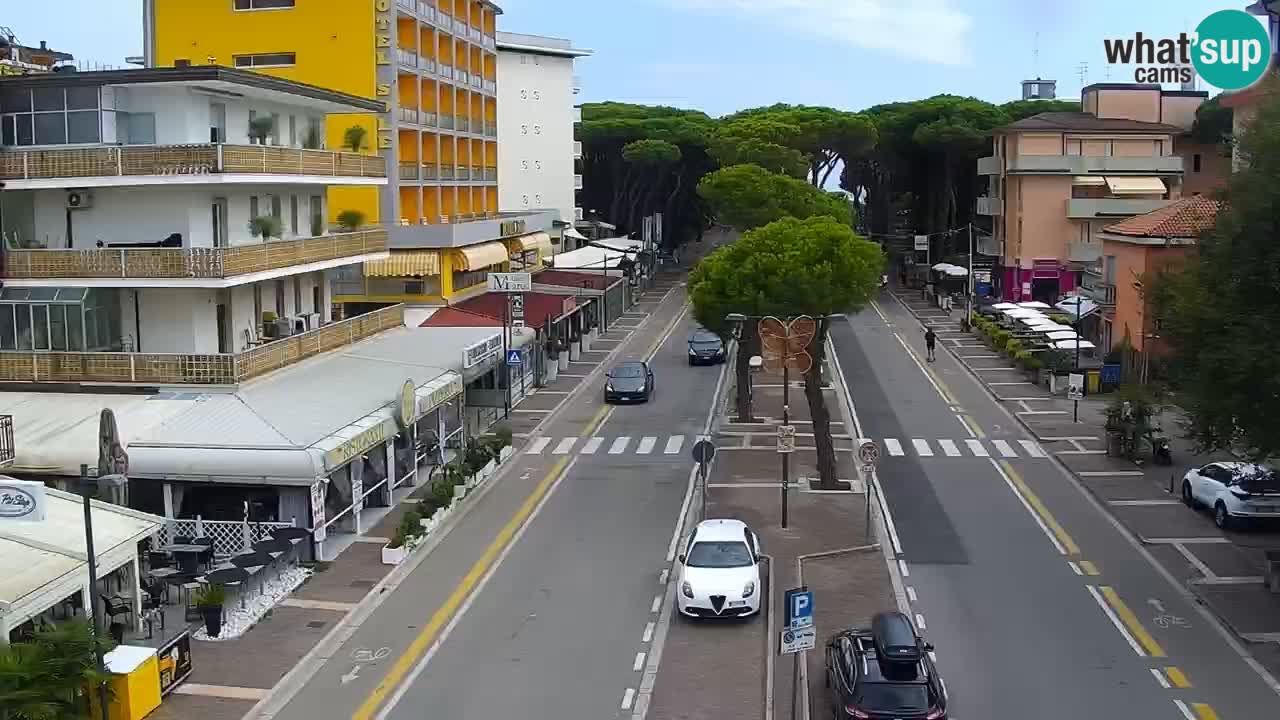 Livecam Rosolina mare webcam – Centro citta