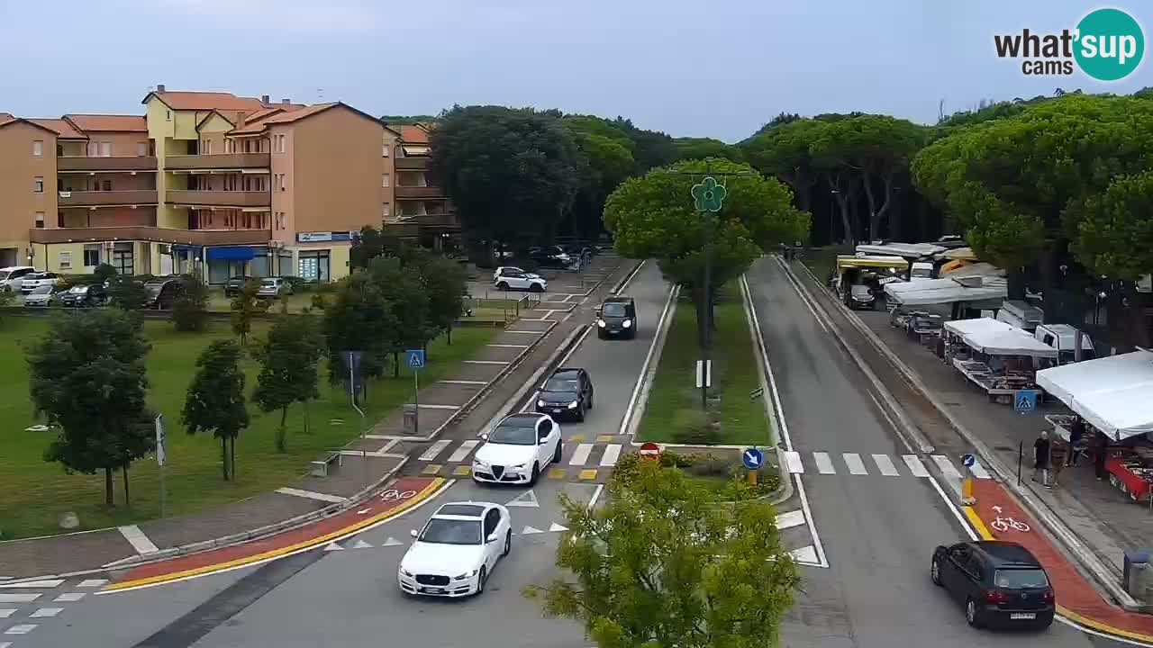 Camera en vivo Rosolina mare
