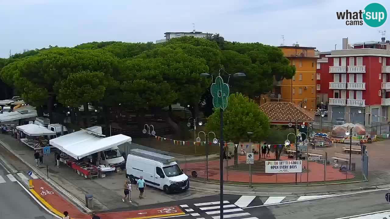 Livecam Rosolina mare