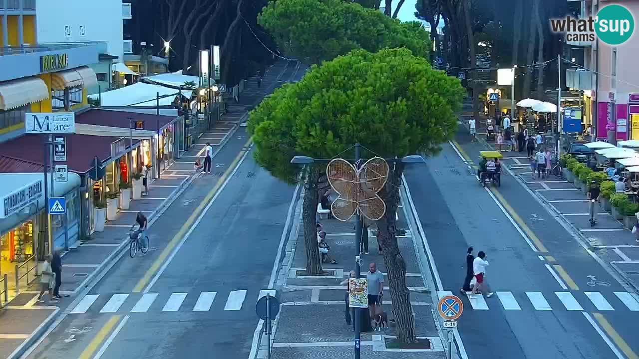 Camera en vivo Rosolina mare