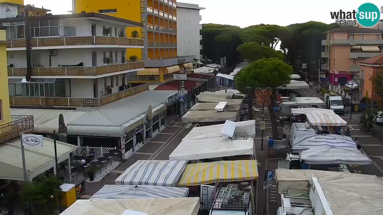 Livecam Rosolina mare