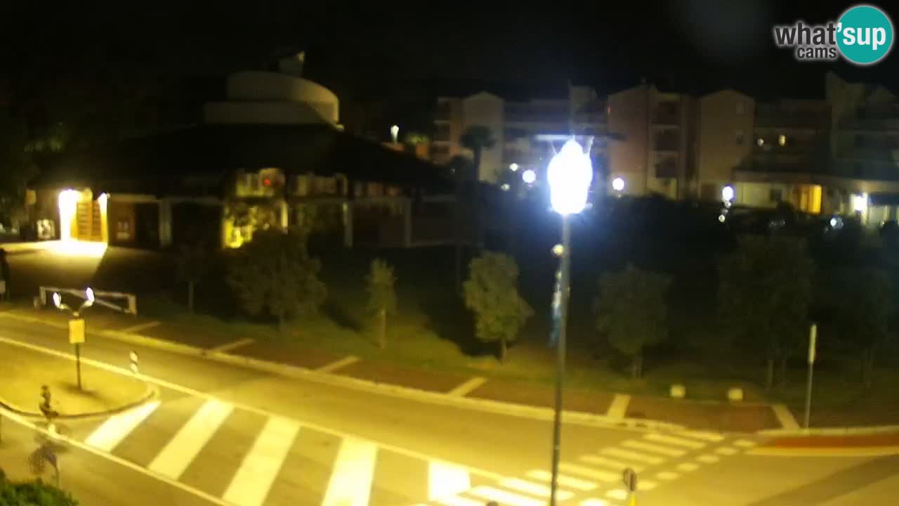 Camera en vivo Rosolina mare