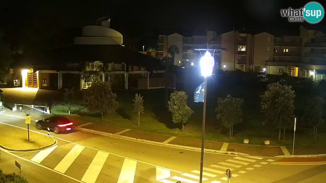 Livecam Rosolina mare