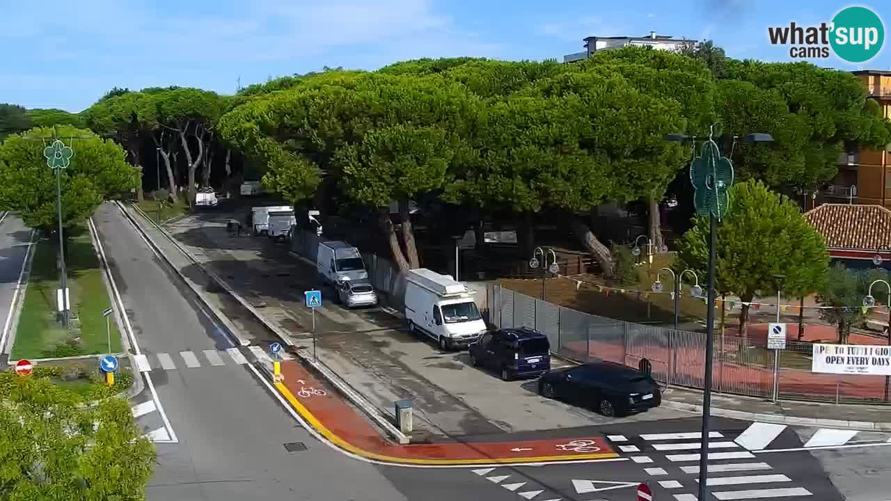 Livecam Rosolina mare