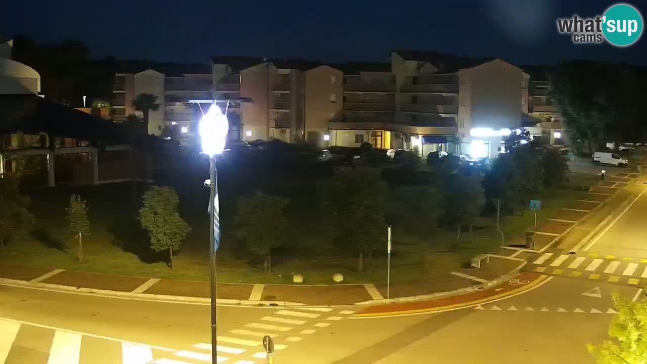 Livecam Rosolina mare