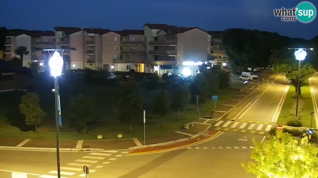 Livecam Rosolina mare