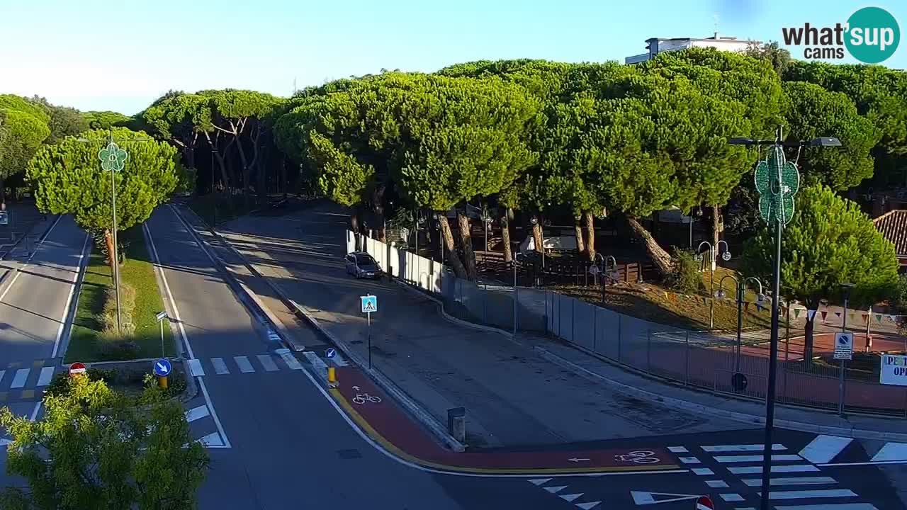 Livecam Rosolina mare