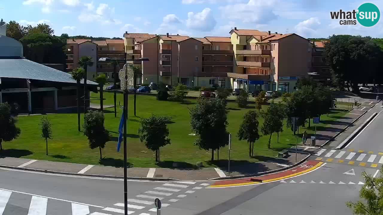 Camera en vivo Rosolina mare